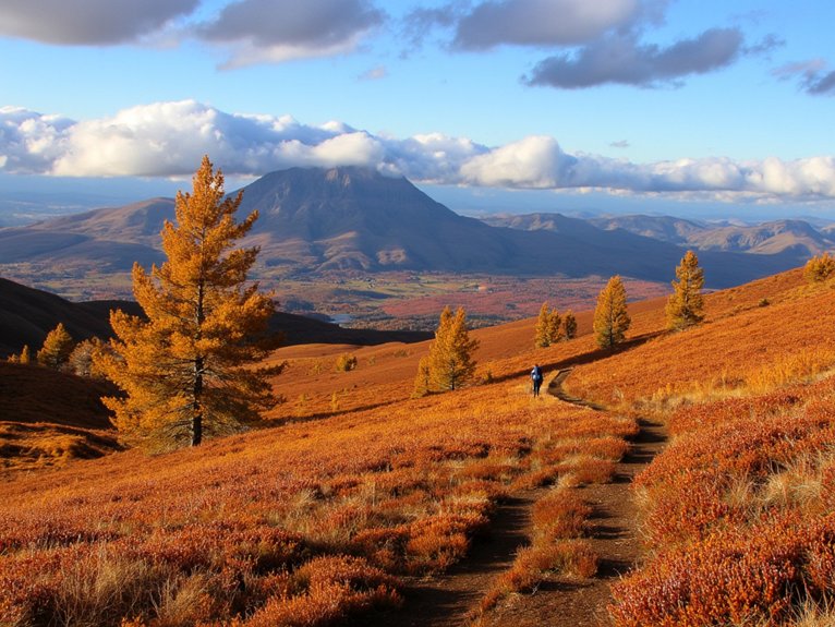 autumnal highland landscape spectacular