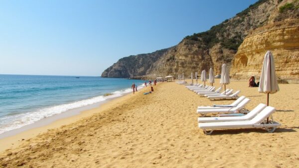 beach access unaffordable for many
