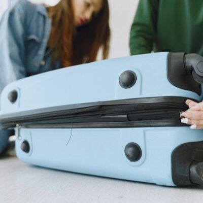 rankinis bagažas, išgyvenantis skrydį