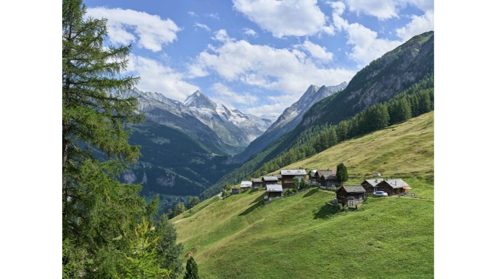 Šveicarijos miestas moka 28 000, kad perkeltų