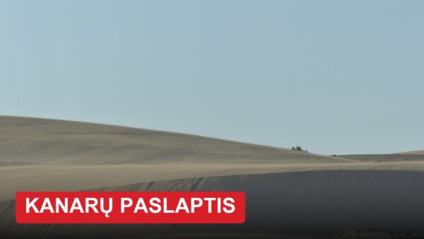 Lietuviai skrenda į Tenerifę, o vos už kelių dešimčių kilometrų – sala su tuščiais paplūdimiais ir smėlio kopomis kaip S