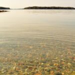 Suomija moka 2000 eurų už uostymą: Turku salynas ieško oficialios „nosies“, o lietuviai gali kandidatuoti