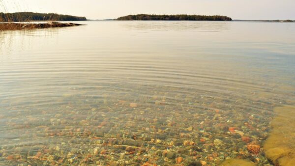 Suomija moka 2000 eurų už uostymą: Turku salynas ieško oficialios „nosies“, o lietuviai gali kandidatuoti