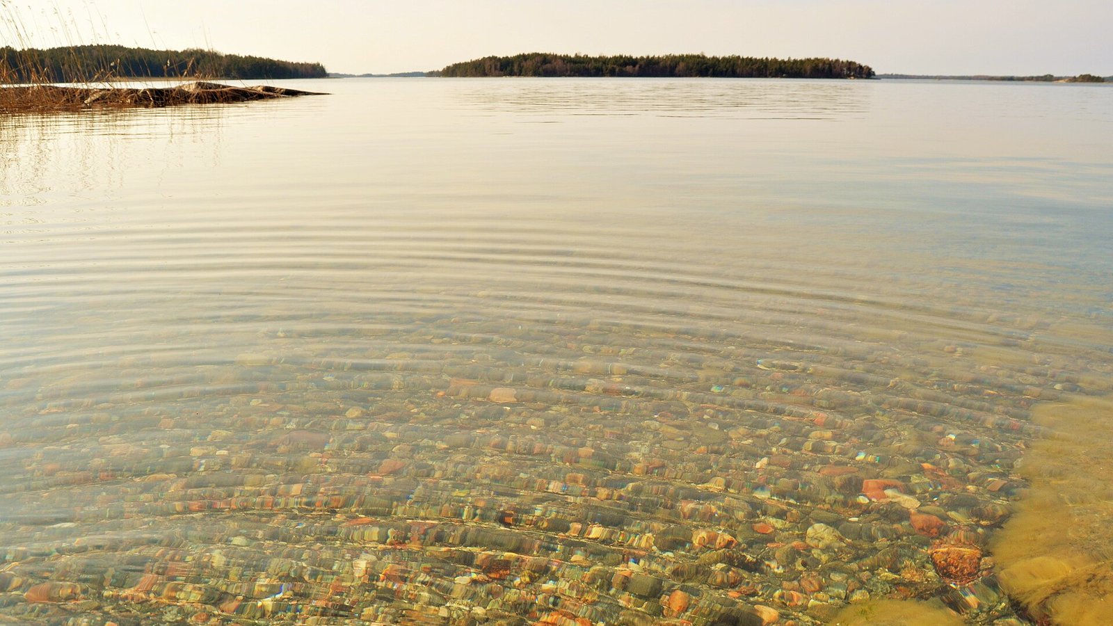 Suomija moka 2000 eurų už uostymą: Turku salynas ieško oficialios „nosies“, o lietuviai gali kandidatuoti